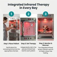 Cage à oxygène transparente en acrylique pour animaux de compagnie avec débitmètre réglable pour chats et chiens, usage en clinique vétérinaire