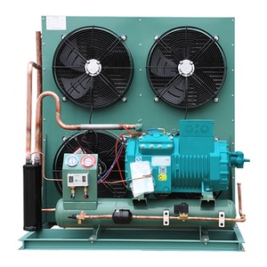 Unité de condensation de compresseur Bitzer <span class=keywords><strong>ECOLINE</strong></span> 25hp, type boîte U, pour zone climatique tropicale - Product Image 5