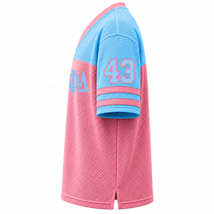 Camiseta Personalizada con Cuello en V de la Hermandad Gamma Phi Delta, Bloques de Color Azul Cielo y Rosa, Manga Corta, Estilo Casual, Top de Malla de Poliéster - Product Image 5
