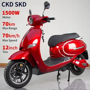 Wholesale SKD CKD 1500W lightweight e moped 12inch 2 seater pedal adult electric moped