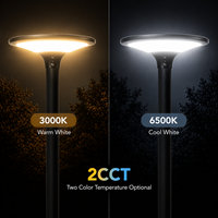Lampe Solaire LED d'Extérieur en Gros pour Jardin, Design Breveté, Éclat Doux à 360°, Blanc Chaud, Moderne, CE RoHS, Durable, Longue Durée de Vie, Utilisation Extérieure