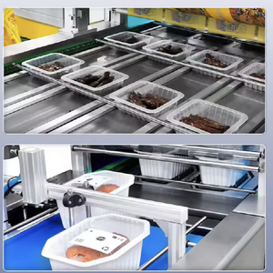 Machine d'emballage sous vide automatique continue pour verre, modèle DQ630At-Vs, capacité 1-1000 plateaux/heure, pour l'emballage de verre en forme de corps - Product Image 5