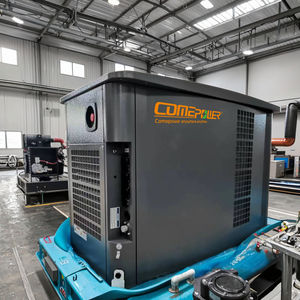 مولد احتياطي سكني صامت بقدرة 15 كيلو وات 20 كيلو وات 60 هرتز/من إنتاج EPA ETL معتمد للغاز الطبيعي المسال والغاز الحيوي غاز الكتلة الحيوية - Product Image 1