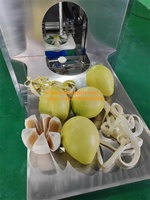 Hoge Efficiëntie Automatische Ananas Pomelo Pompoen Schilmachine Mango Watermeloen Dunschiller