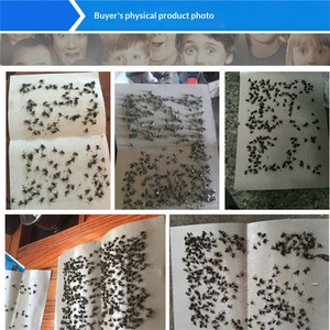 Piège à mouches collant puissant jetable, autocollant anti-mouches non toxique et sûr pour la maison, la cuisine, les restaurants et l'intérieur - Product Image 3