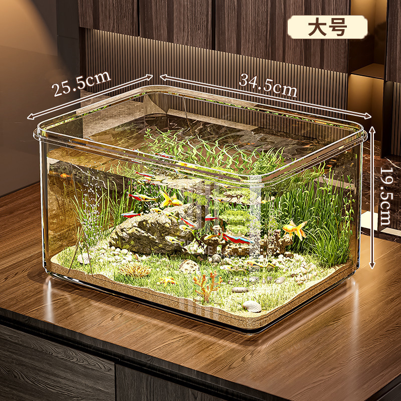 Grande acquario ecologico