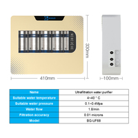 Purificateur d'eau potable à filtration directe à 5 niveaux