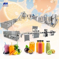 Usine de production et de transformation de jus de fruits à petite échelle (mangue, ananas, banane, calamansi) Full Line Passion – Coût Chine