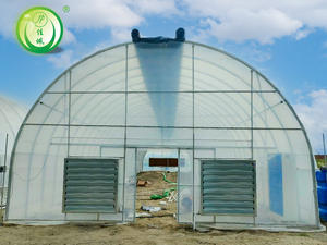 Serre agricole en plastique galvanisé <span class=keywords><strong>à</strong></span> structure résistante pour tomates, poivrons et concombres - Product Image 2