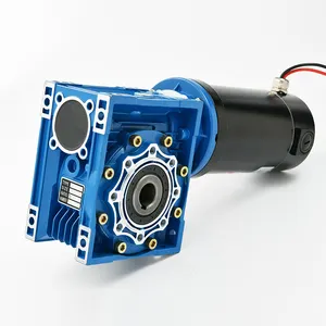 High Quality 0.5HP 370w Low Speed RPM 24v DC Gear Motor with worm gearbox
