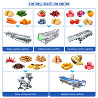 Industriële Citroenwasmachine | Sorteer-En Verpakkingslijn Voor Citrusvruchten | Sorteerapparatuur Voor Vers Fruit