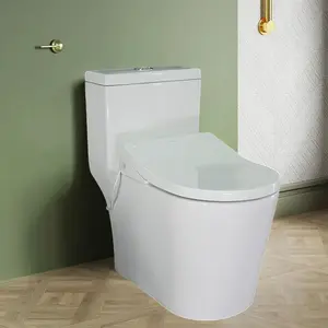 एक टुकड़ा बुद्धिमान रिमोट कंट्रोल-गर्म पानी स्प्रेयर के साथ ऑटो निस्तब्धता शौचालय एक टुकड़ा शौचालय