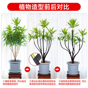 Specialized Bonsai <b>Binding</b> Wire Green Black Plastic Potted Plants Shaping Tool - Product Image 4