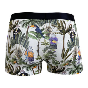 Sous-vêtements pour hommes respirants mi-hauts pour garçons, tableau des tailles, motif imprimé avec poche - Product Image 1