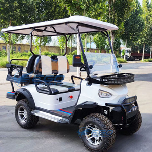 Véhicule de golf électrique 4 roues certifié CE, vente directe usine, prix personnalisable, buggy tout-terrain, voiture de tourisme - Product Image 4