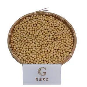 GEKO Food Shipping Wholesale Master Quality Beans Soya Beans for Oils