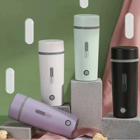 Bouilloire électrique portable intelligente en acier inoxydable avec alimentation par batterie pour voiture et usage domestique, ébullition automatique et maintien au chaud