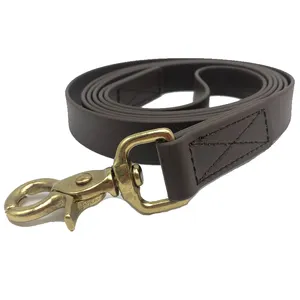 Nylon Webbing Leash Custom Advertised Eco-Friendly Dog Collar Brass Detail Solid Breakaway Rivet Gun Padded PVC Coated Nylon Webbing Dog Leash Pets