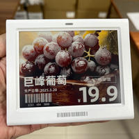 Nuevas etiquetas de precio digitales de 2.4GHz Ble Cloud E Ink Eink con pantalla API ESP32 para supermercados, sistema NFC EAS, etiquetas electrónicas ESL para estanterías.