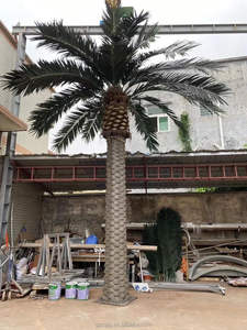 In fibra di vetro artificiale di cocco canarino Palm al coperto all'aperto centro commerciale <span class=keywords><strong>giardino</strong></span> Street Design decorazione pianta <span class=keywords><strong>sempreverde</strong></span> palma - Product Image 2