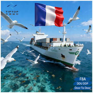 TIPTOP Agente de Transporte Marítimo DDP de China <span class=keywords><strong>a</strong></span> Francia, Logística de Transporte Terrestre Express LCL - Product Image 2