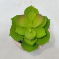 Cactus en céramique fait à la main Mini plante Figurine artificielle Succulent Pot de fleur pour la maison Table Decor Unique Home Decor