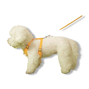 引っ張らない犬用ハーネスとリード - 小型犬用調節可能なソフトパッド入りベスト（漫画プリント） - Product Image 4