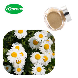 20 + anni ISO22000 fabbrica pura naturale estratto di margherita Bellis perennis - Product Image 1