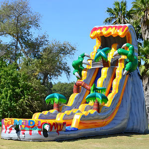 ¡Gran Oferta! Nuevo Castillo Hinchable Comercial para Niños y Adultos, Tobogán Acuático Combinado de PVC para Uso Doméstico - Product Image 1