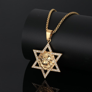 Collar con Colgante de Estrella Judía de Zirconia, Acero Inoxidable, Chapado en Oro de 18k, Estilo Europeo y Americano, León de Judá, Magen, Venta al Por Mayor YK - Product Image 2