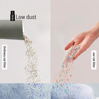 Litière pour chat en bentonite pour maisons multi-chats, grande capacité, sans poussière, agglomération rapide, facile à ramasser, faible dispersion