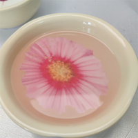 Décorations de gâteau personnalisées pour mariage, cocktail, fleurs, écologiques, végétariennes, papier sucre rose, film comestible, outils pour gâteaux