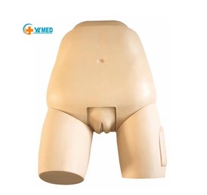 Mannequin PVC ISO avancé pour l'entraînement aux compétences d'examen du fond utérin et des soins prénatals en obstétrique - Product Image 1