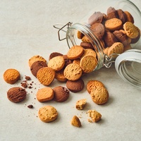 (THE PLANTEAT) Prix d'usine de haute qualité Snack sain et délicieux Eat's Better Biscuits sans sucre Avoine douce
