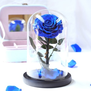 Grado di 12*20cm conservato fiori decorativi fiaschetta Set eterno per sempre conservato rosa in cupola di vetro per il regalo di Natale - Product Image 5