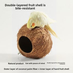Nid d'oiseau en coquille de noix de coco, nid de perroquet, transfrontalier, Shandong, rond - Product Image 5