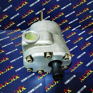 Pompa Idraulica ad Ingranaggi Personalizzabile ad Alta Pressione per Trattore UTB 650 H8.01, Supporto Lavorazione OEM - Product Image 3