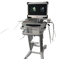 Эндоскопическая система «Все в одном», медицинский электронный видеоэндоскоп, эндоскопический аппарат, гастроскоп, колоноскоп, ларингоскоп, цисто - Product Image 6