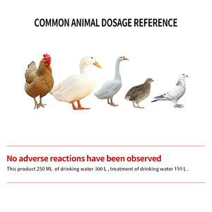 Aliment et eau potable pour volailles : Détoxification froid-froidre, traitement des affections nasales (rétion, écoulement nasal) chez le poulet, le canard et l'oie - Product Image 3