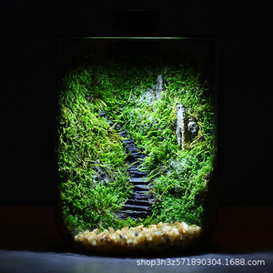 Mini <span class=keywords><strong>aquarium</strong></span> paysager rectangulaire écologique de 1L avec verre et éclairage pour poissons tétra dans un boîtier de salon (5W universel) - Product Image 4