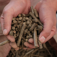 Molino de pellets de anillo de gran escala para paja, cáscaras de cacahuete, astillas de madera, aserrín, biomasa, con motor eléctrico de 20 kW, 1000-2000 kg