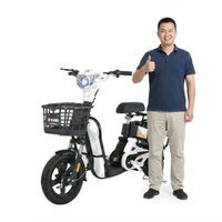 Nouveau vélo électrique de ville pour trajets quotidiens, vélo électrique pour adultes avec siège arrière et panier avant, homologation CEE 48V/60V 350W/500W (en option)