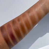 Marque privée Palette de poudre pour le visage mat végétalien pressé 12 couleurs Contour et caractéristiques hydratantes pour les peaux foncées