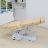 Cama Eléctrica de Lujo para Cosmética, Cama Eléctrica Ajustable para Salón de Belleza, Silla de Spa, Cama de Masaje para Salón de Belleza y Tatuajes