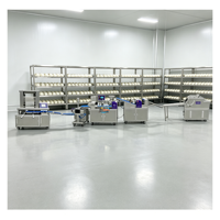 Ligne de production multifonctionnelle BK-688 pour la fabrication de pains vapeur et de mantou, destinée à la production de pains surgelés