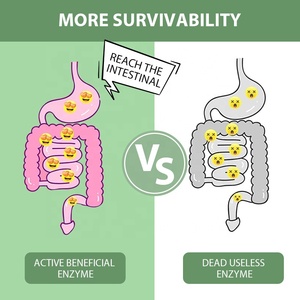 Té adelgazante para adelgazar, enzima de té, zumo de hierbas, fruta en polvo, vientre plano, pérdida de peso, limpieza de puntos, desintoxicación, zumo Delgado, té para el minceur - Product Image 2