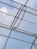 Serre agricole solaire ZT grand modèle à structure tubulaire ronde en C, stable, avec couverture en acier pour la culture hydroponique de légumes