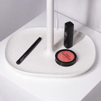 Miroir de maquillage avec lampe de table LED, éclairage d'appoint, rangement de bureau, dortoir, miroir portable de petite taille, salle de bain, design moderne, lumière chaude