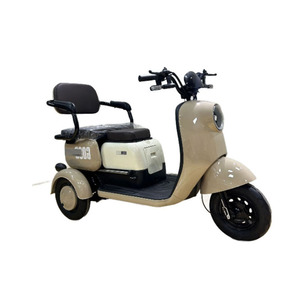 Triciclo eléctrico familiar de tres ruedas con toldo rígido impermeable para viajes al aire libre - Product Image 3