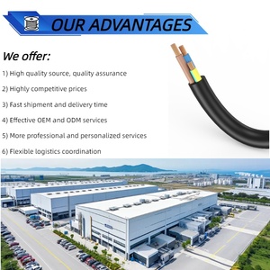 Ce chứng nhận BV cáp 2. 5mm2 dây điện đồng nguyên chất cho nhà sử dụng điện Dây cáp điện đồng 4 mét thủ công dây - Product Image 5